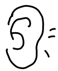 外耳道